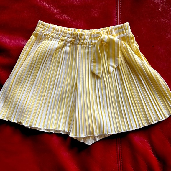 Zara Other - Girl Shorts/Skirt